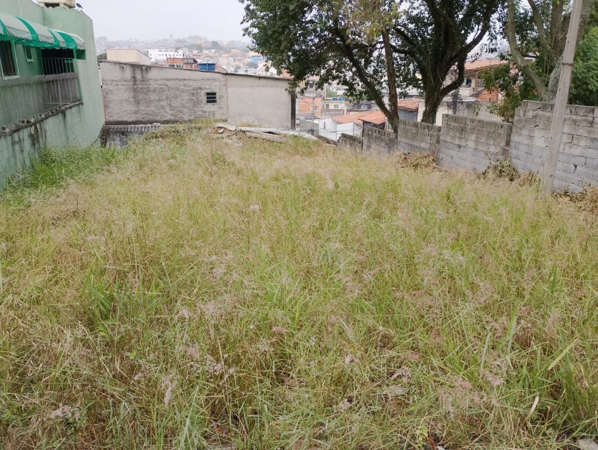 Terreno amplo