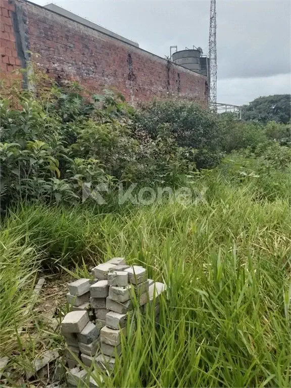 Terreno comercial para Locação em São Paulo/SP - Vila Progredior