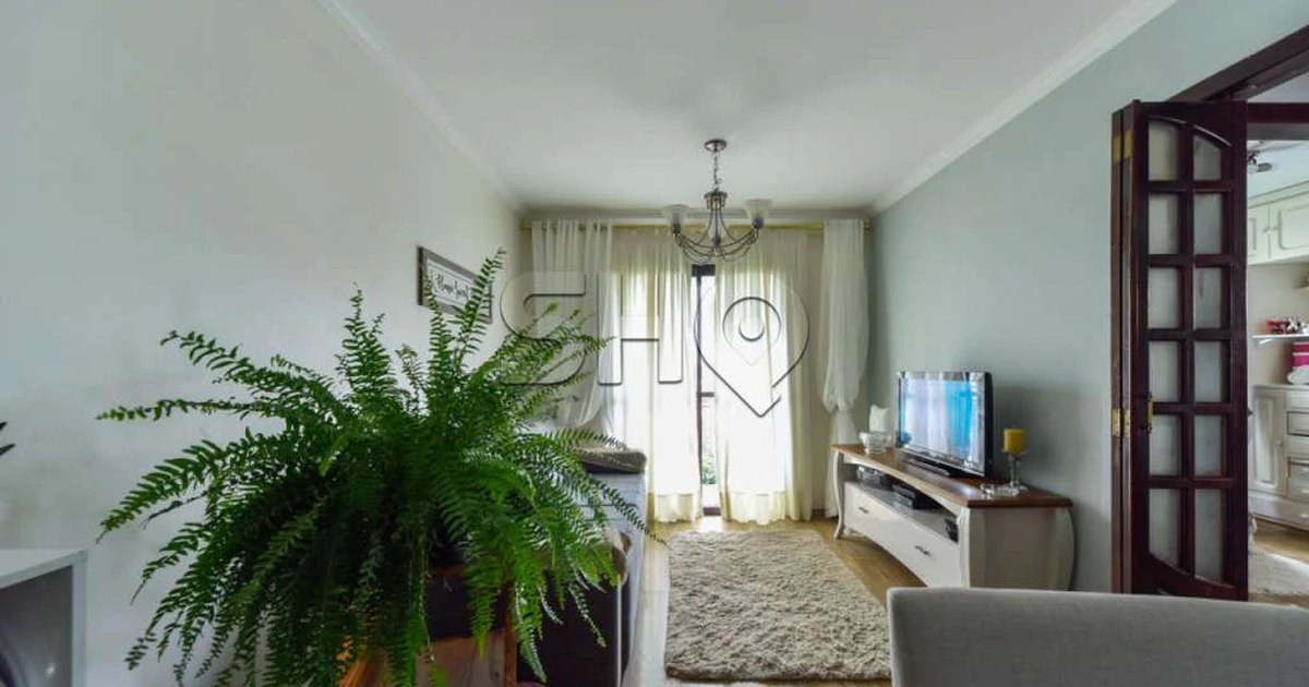 Imóvel em Vila Monte Alegre, São Paulo - SP